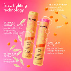 forget frizz | anti-frizz conditioner