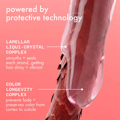 the protector | color protect + strengthen conditioner