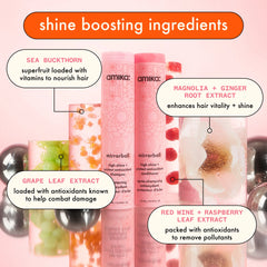 super-sized shine set | mirrorball high shine + protect antioxidant shampoo + conditioner + flash mask