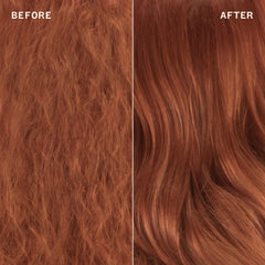 mirrorball | high shine + protect antioxidant conditioner