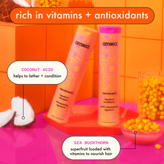 super-sized signature set | normcore shampoo and conditioner + soulfood mask