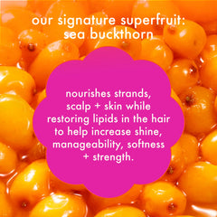 super-sized blonde set | bust your brass cool blonde shampoo + conditioner + intense repair hair mask